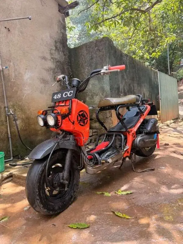 Honda Zoomer 2014 Motorbike Unregistered (Recondition)