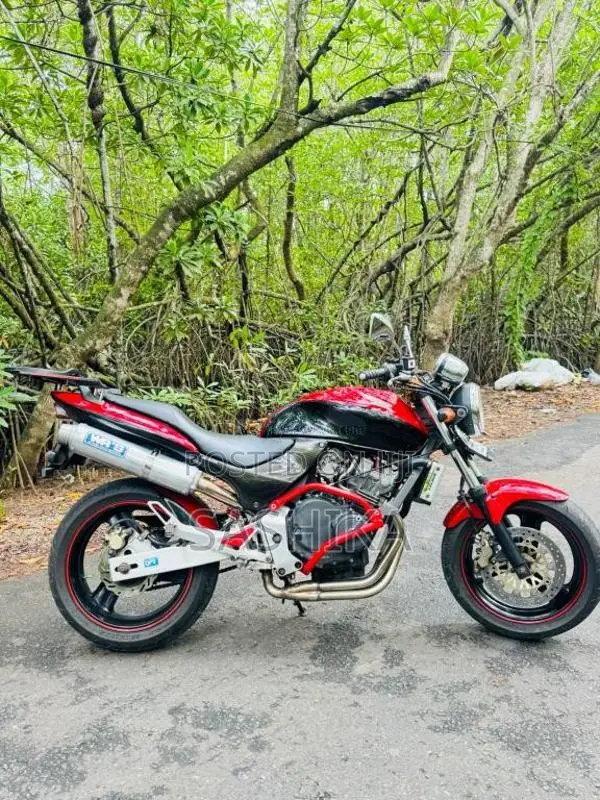 Honda Hornet 2005 Motorbike (Used)