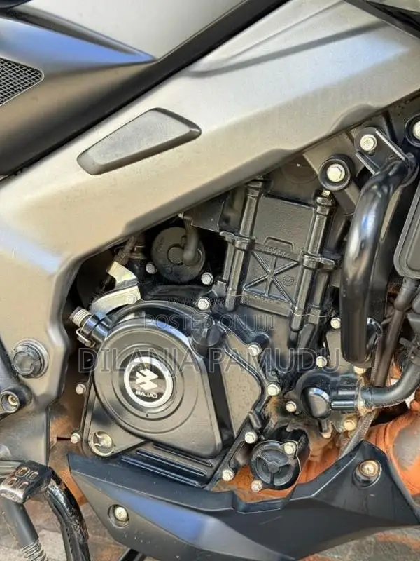 Bajaj Pulsar NS200 2025 Motorbike (Used)