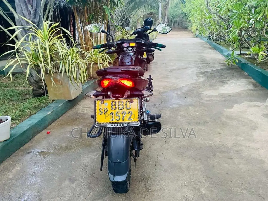 Bajaj Pulsar 135 2014 Motorbike (Used)