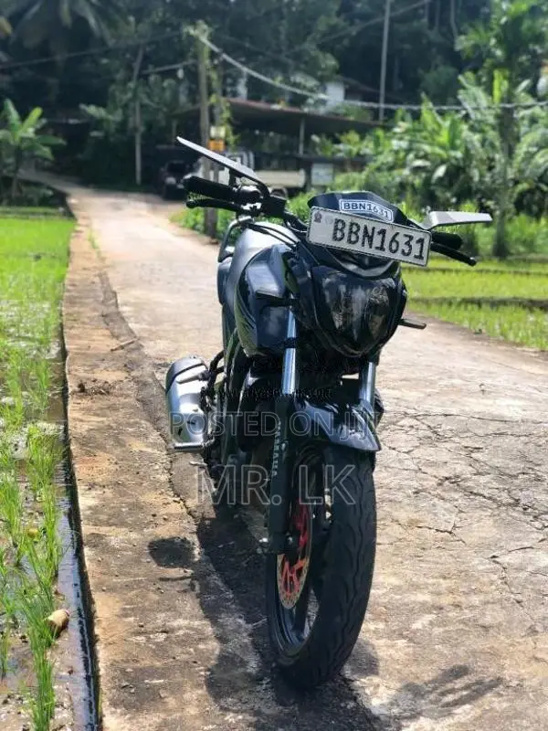 Yamaha FZ-S 2014 Motorbike (Used)