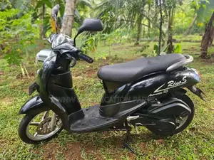 Demak Rinos 2017 Motorbike (Used)