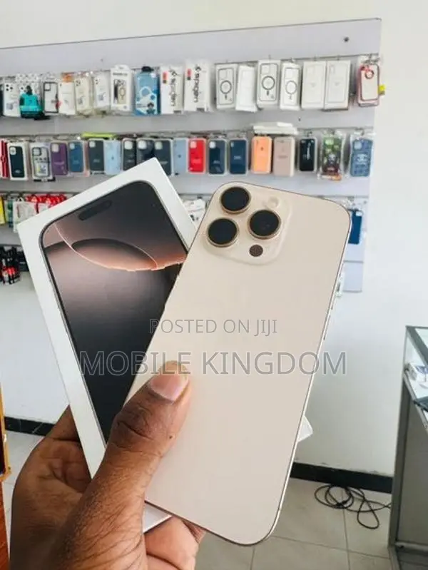 Apple iPhone 16 Pro Max 256GB (Used)