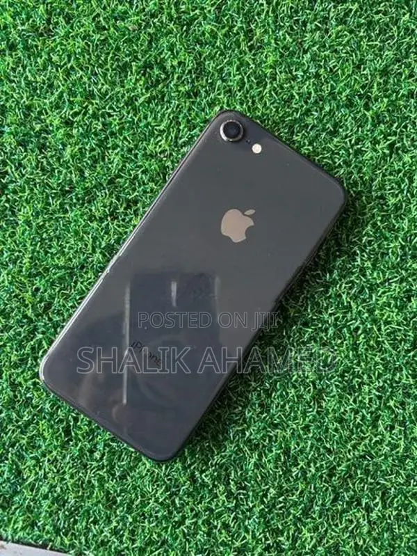 Apple iPhone 7 Plus (Used)