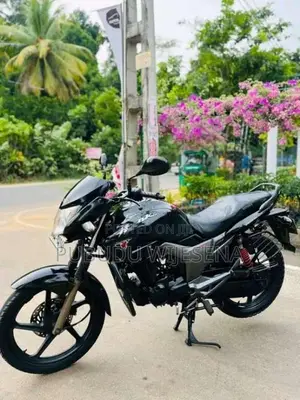 Hero-Honda Hunk 2010 Motorbike (Used)