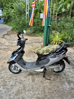 TVS Scooty Pep 2010 Motorbike (Used)
