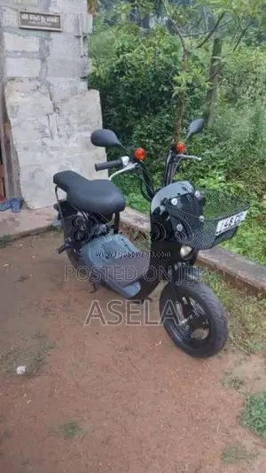 Suzuki 48 CC 2025 Motorbike Unregistered (Recondition)