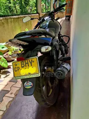 Bajaj Pulsar 2019 Motorbike (Used)