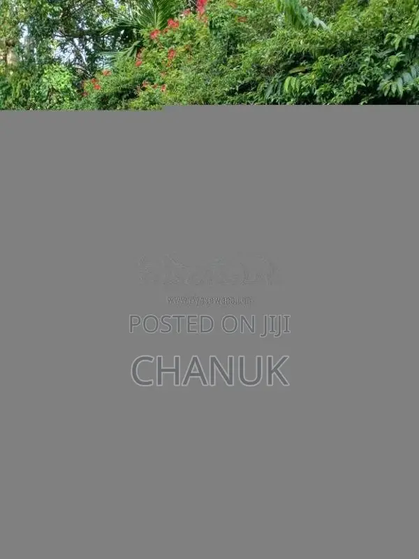 Bajaj CT-100 2006 Motorbike (Used)