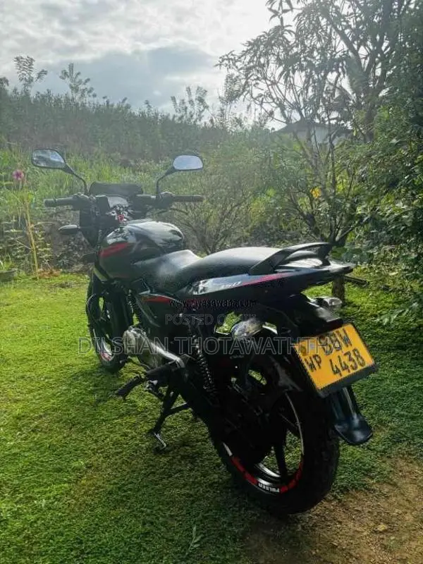 Bajaj Pulsar 2014 Motorbike (Used)