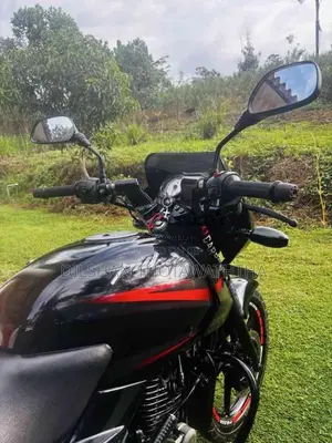Bajaj Pulsar 2014 Motorbike (Used)