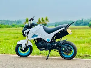 Dyno Dayun Mini 2021 Motorbike (Used)