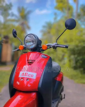 Honda 48CC 2024 Motorbike (Used)
