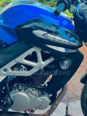 Demak DZM 2016 Motorbike (Used)