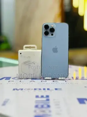 Apple iPhone 13 Pro Max 256GB (Used)