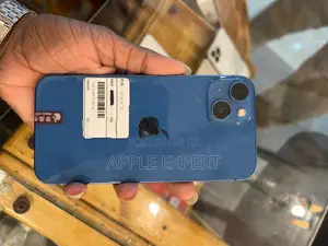 Apple iPhone 13 (Used)