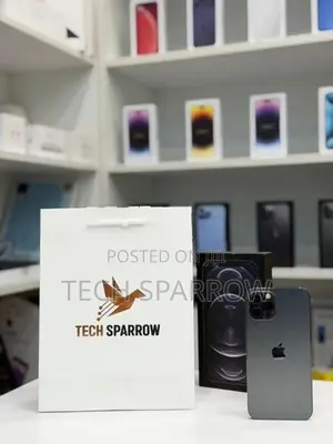 Apple iPhone 12 Pro 512GB (Used)