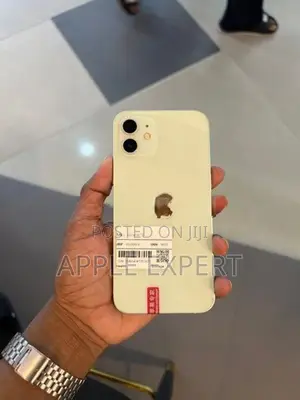 Apple iPhone 12 (Used)