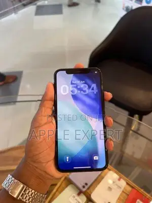 Apple iPhone 11 Pro (Used)