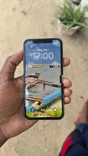 Apple iPhone X Used phone (Used)