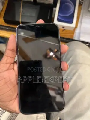 Apple iPhone 11 (Used)