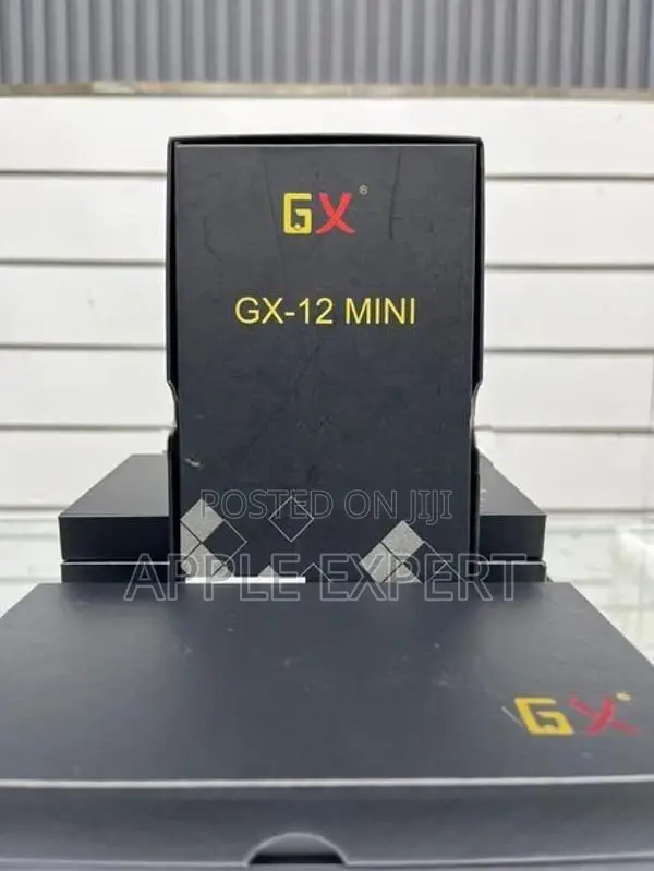 12 MINI GX DISPLAY