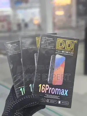 16 Pro Max DD Display