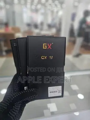 11GX Display