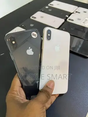 Apple iPhone X 256GB (Used)