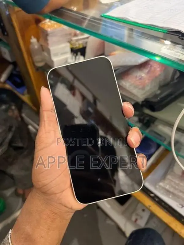 Apple iPhone 13 (Used)