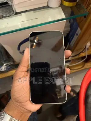 Apple iPhone 13 (Used)