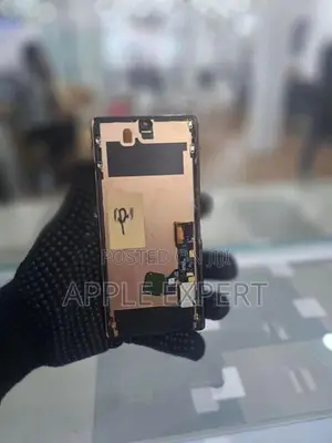 Google Pixel 6 Pro Display