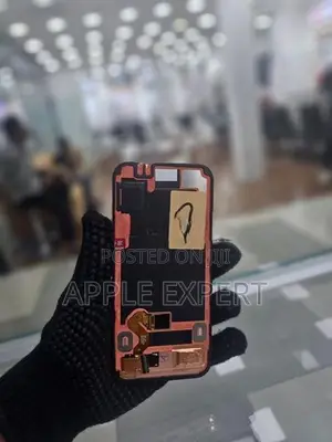 pixel 9 Display