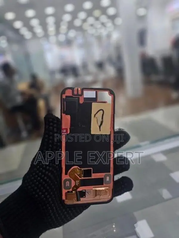 pixel 9 Display