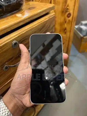 Apple iPhone 13 (Used)