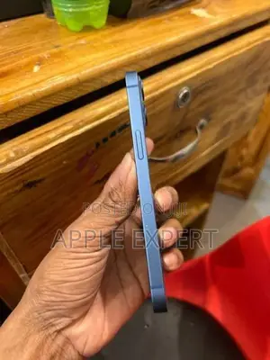 Apple iPhone 13 (Used)