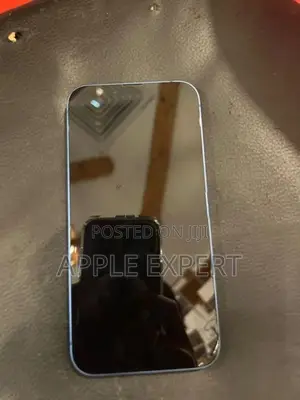 Apple iPhone 13 (Used)