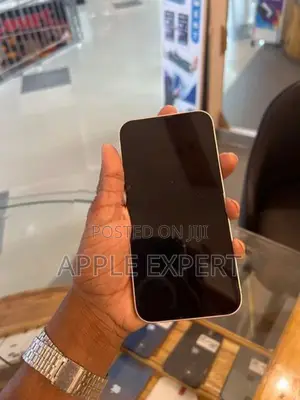 Apple iPhone 13 (Used)