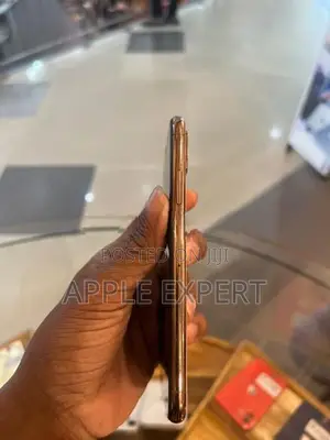 Apple iPhone XS (Used)