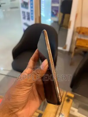 Apple iPhone XS (Used)