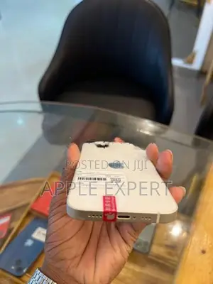 Apple iPhone 13 (Used)