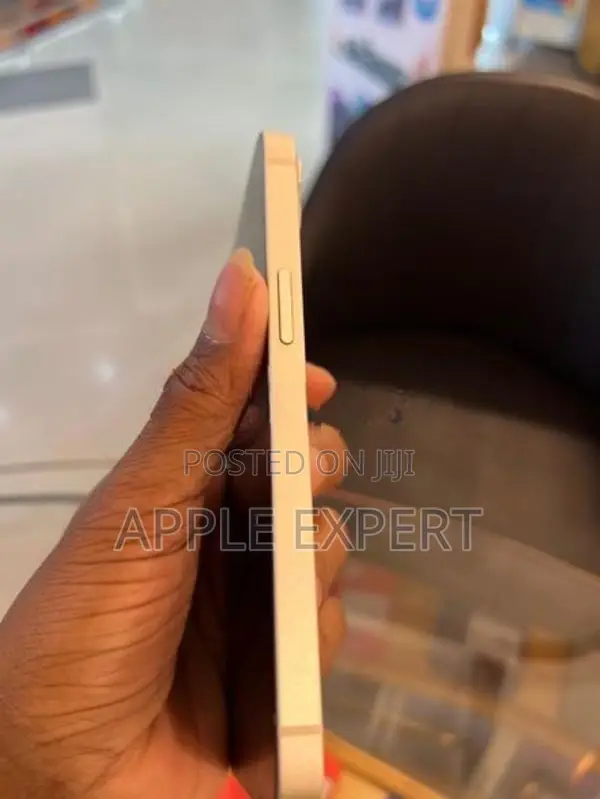 Apple iPhone 13 (Used)