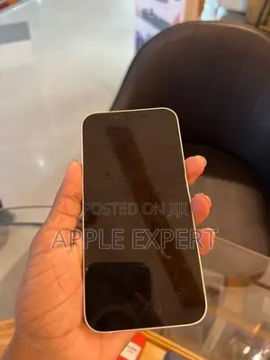 Apple iPhone 13 (Used)