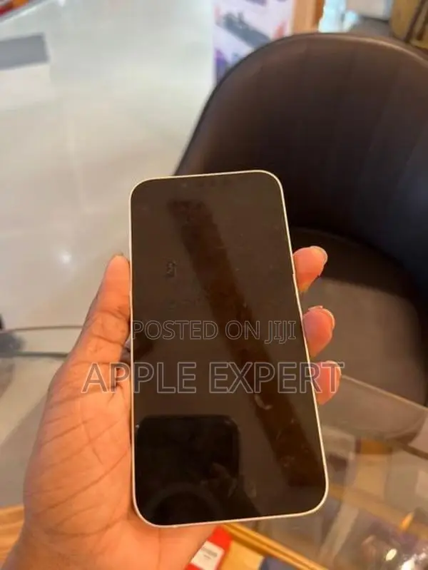 Apple iPhone 13 (Used)