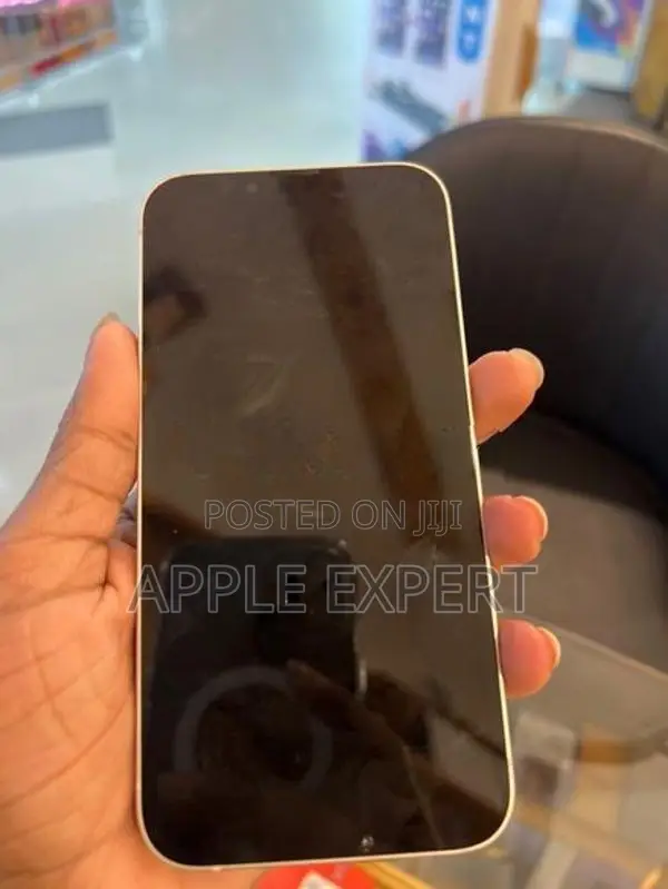Apple iPhone 13 (Used)