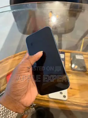 Apple iPhone 13 (Used)