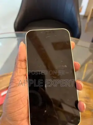 Apple iPhone 13 (Used)