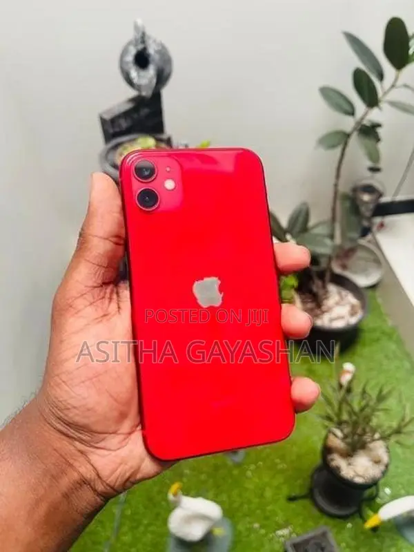 Apple iPhone 11 (Used)