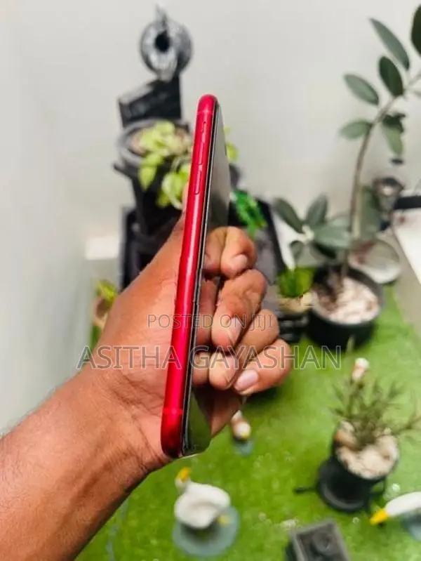 Apple iPhone 11 (Used)