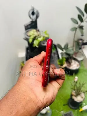 Apple iPhone 11 (Used)